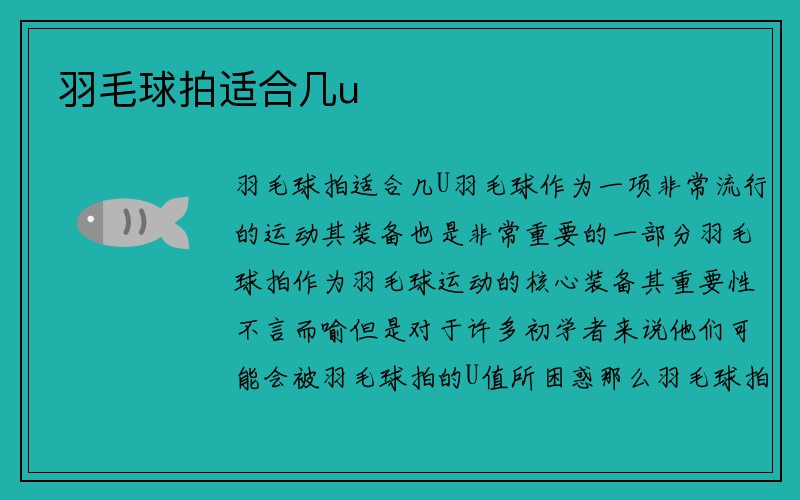 羽毛球拍适合几u