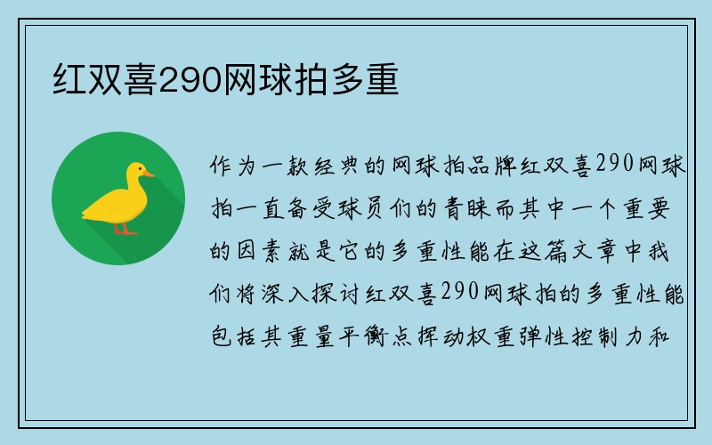 红双喜290网球拍多重