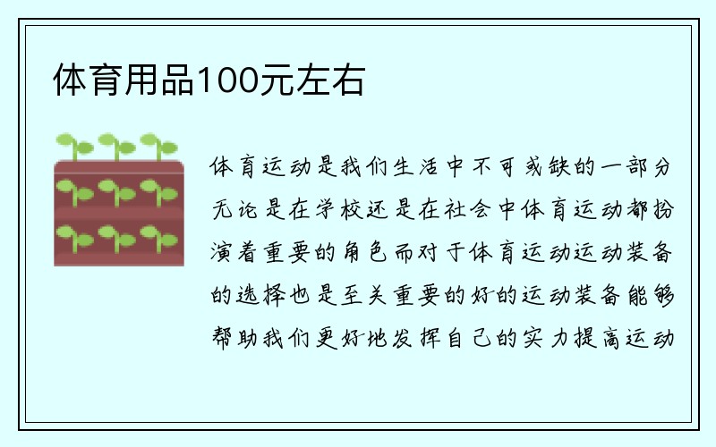 体育用品100元左右