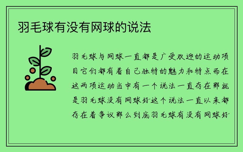 羽毛球有没有网球的说法